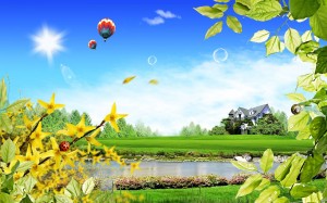 fond été nature